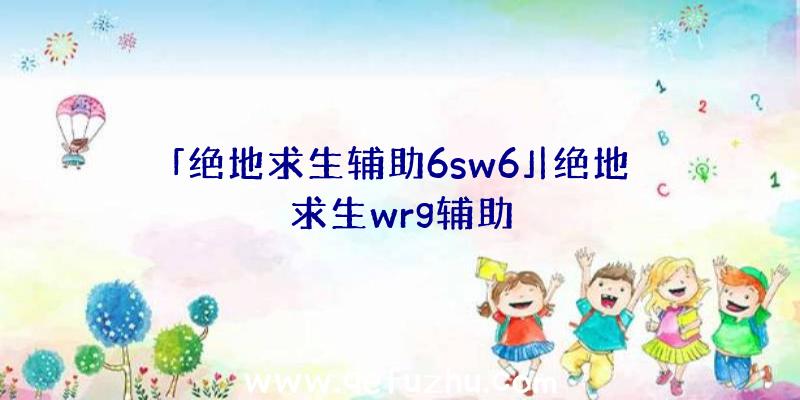 「绝地求生辅助6sw6」|绝地求生wrg辅助